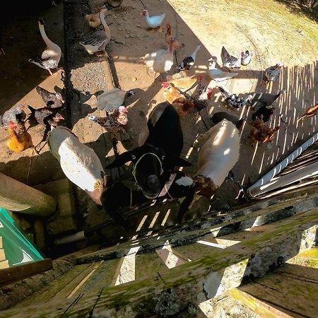 Saira Recanto De Serra Mulungu  Luaran gambar